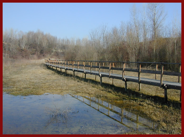 240 m di pontile costruito in oasi naturalistica