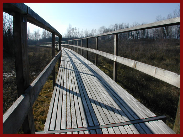 Pontile in larice