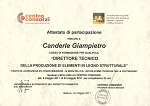 Direttore tecnico